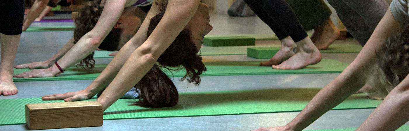 Yoga Home Studio