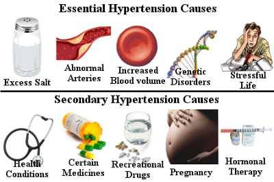 Dr. Hari's Samhitha Ayurvedic Healthcare And Research Center Chennai