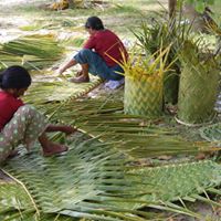 Marari Beach Resort 