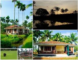 Nagarjuna Ayurvedic Institute