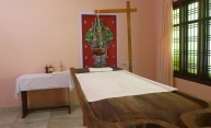 Patanjali Resort Center For Ayurveda