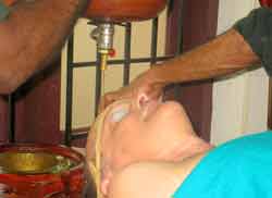 Shree Hareeyam Arya Vaidyashala India