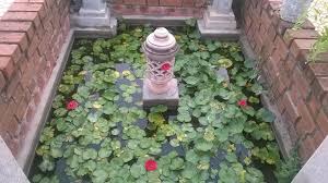 Subhiksha Ayurveda Hospital