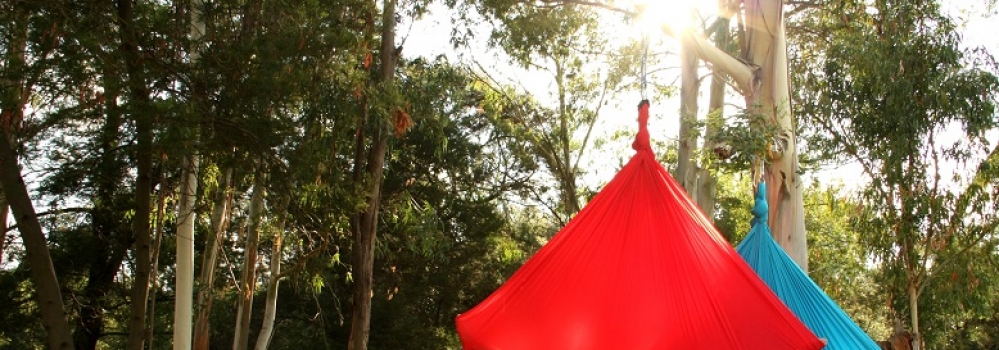Aerial Yoga Studio 