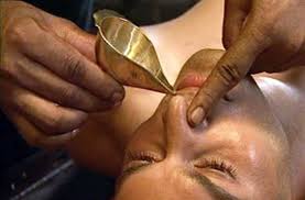 Anandam Ayurveda Kottukal