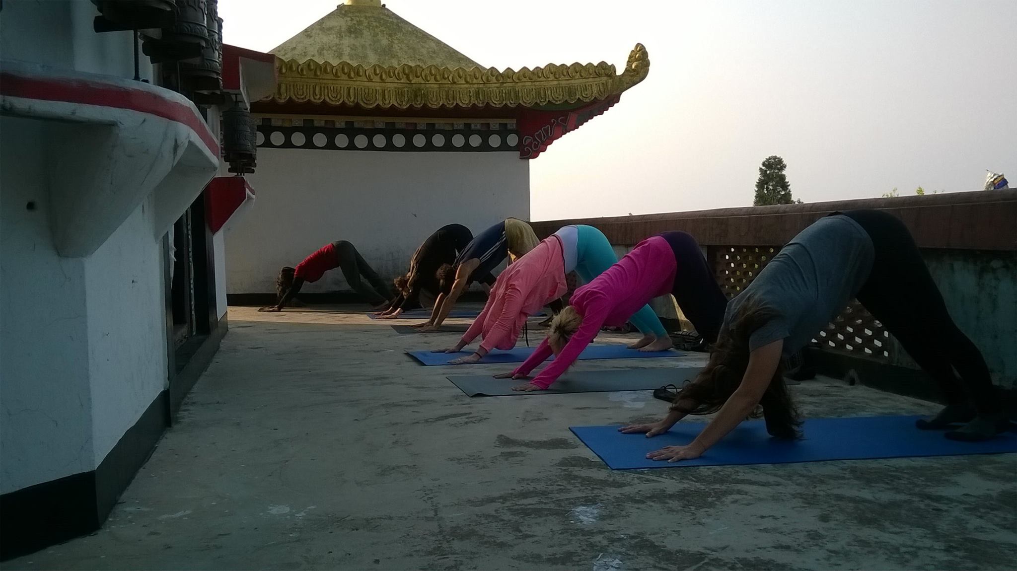 Anandavan Yog Peeth Kalimpong 