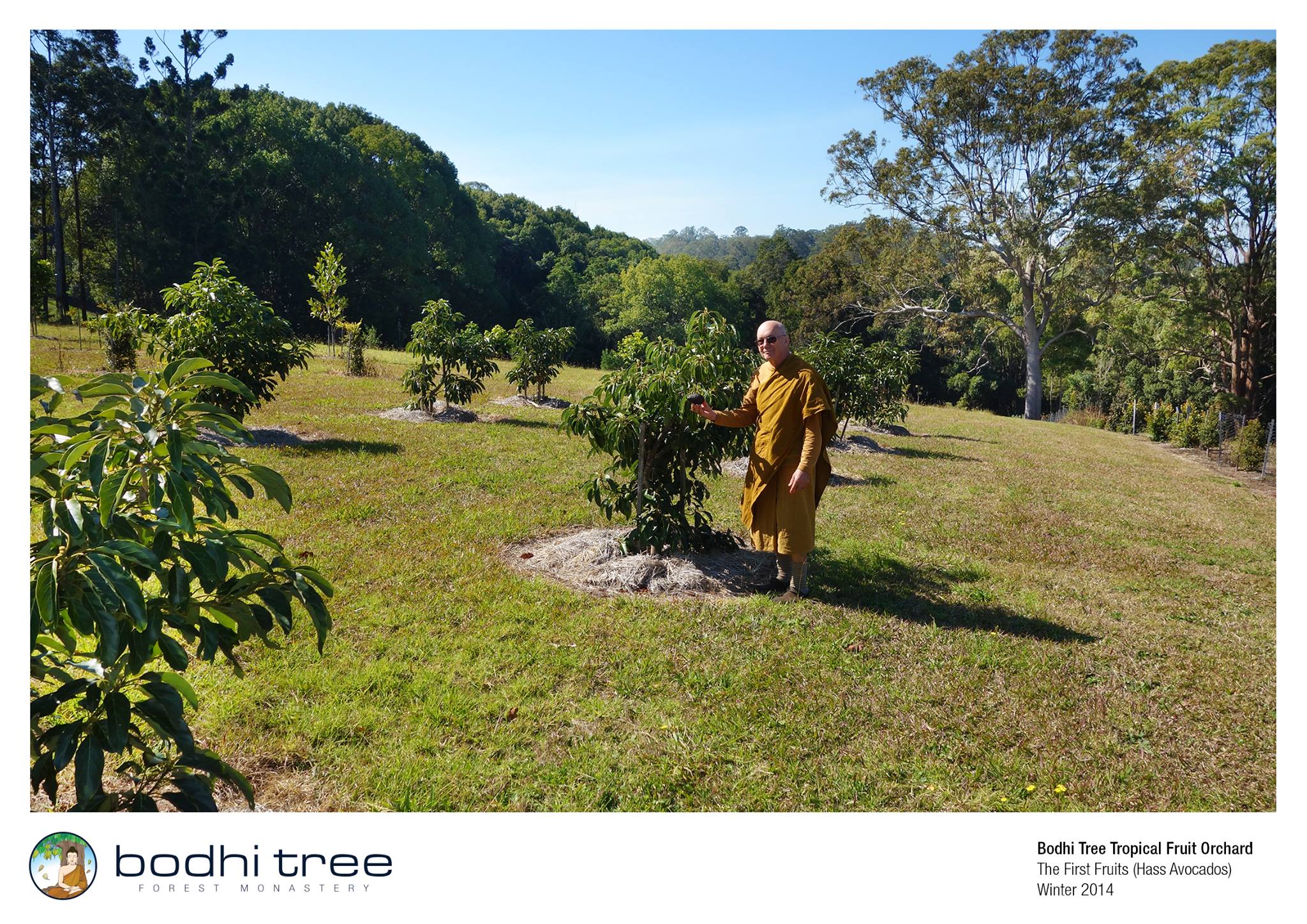 Bodhi Tree Forest Monastery & Vipassana Retreat Centre