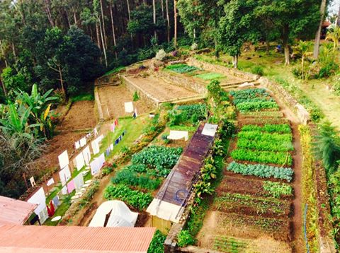  Kodaikanal