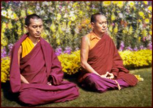 Buddha House