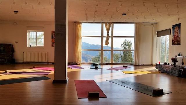 Zen Yoga By Dynamic Mindfulness 