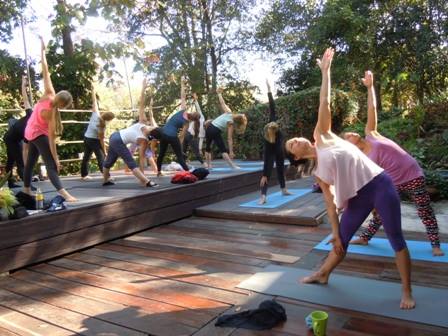 Gaiatree Yoga School