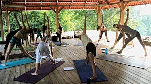 Jai Yoga Journeys 