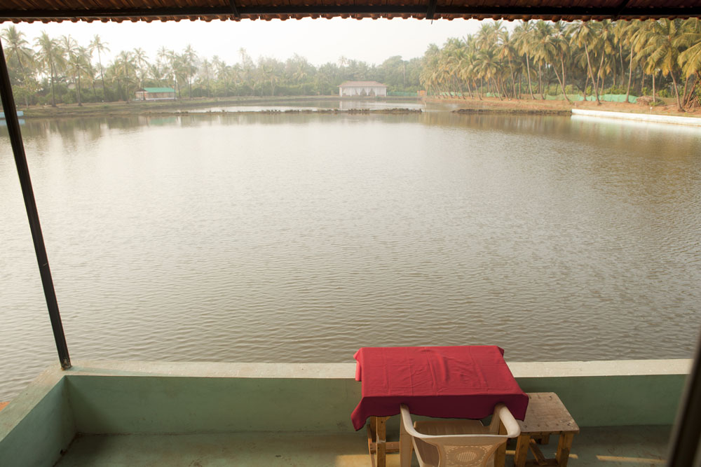 Mahi Yoga Center Goa Goa