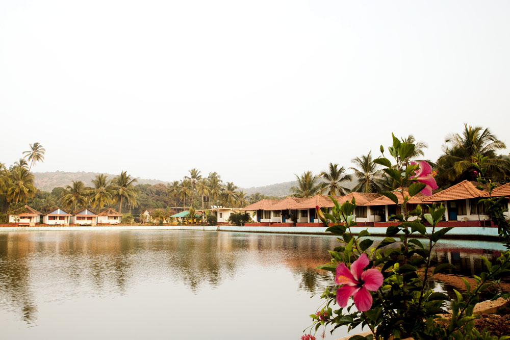  Goa