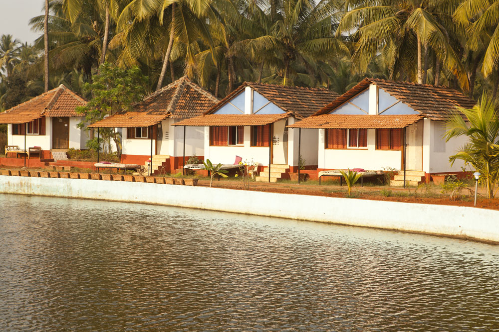  Goa