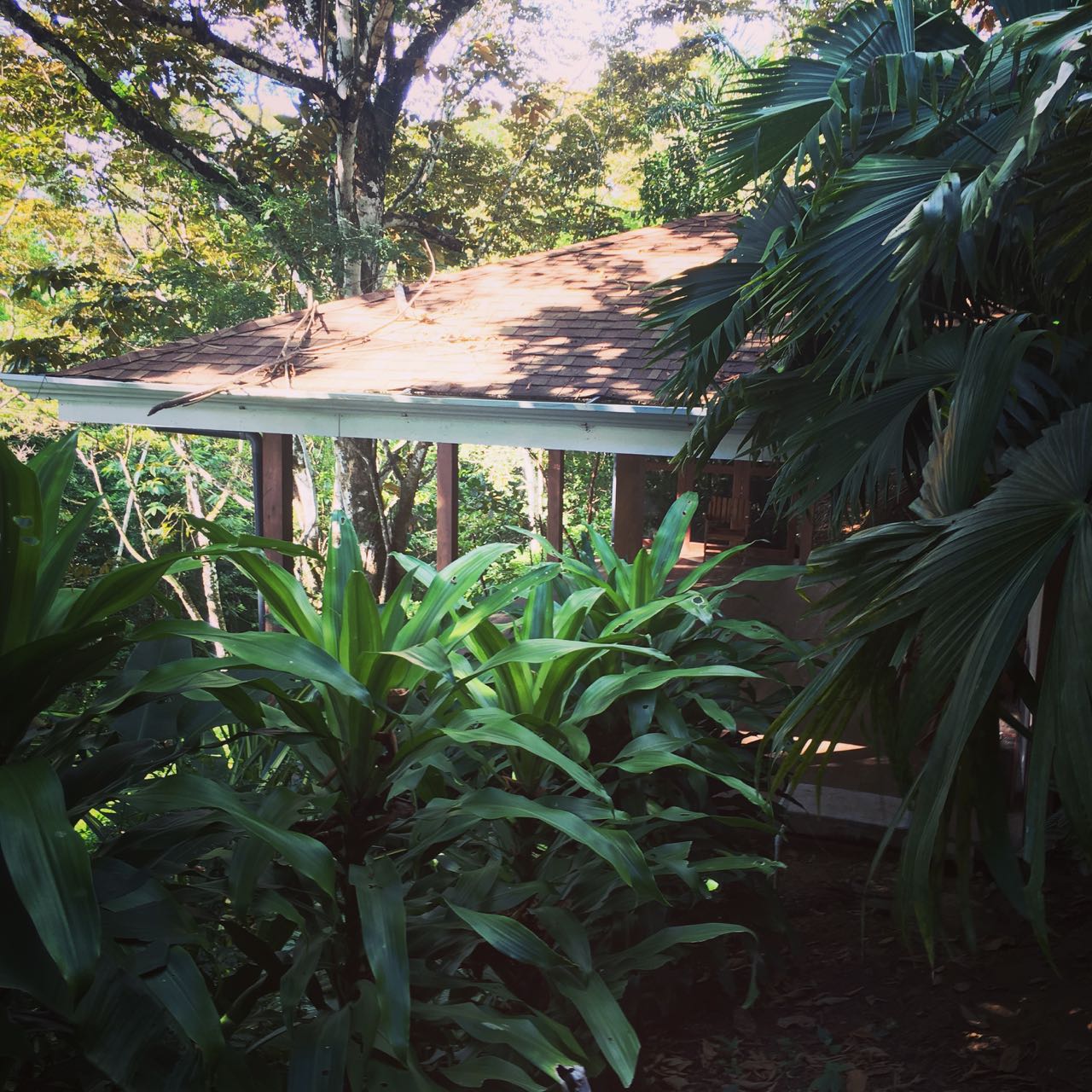 Costa Rica