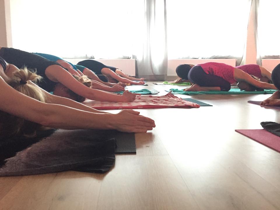 Rise & Shine Yoga Studio Hilversum