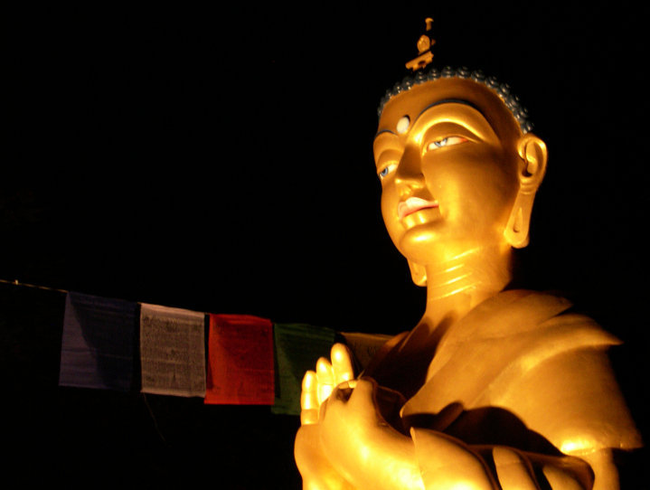 Root Institute For Wisdom Culture India
