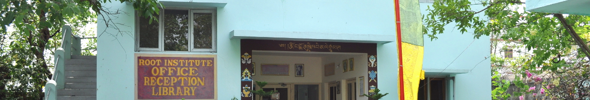 Root Institute For Wisdom Culture