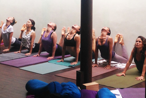 Routes Of Yoga 