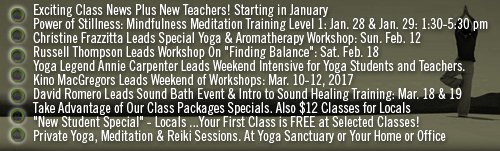 Sherry Goldstein's Yoga 