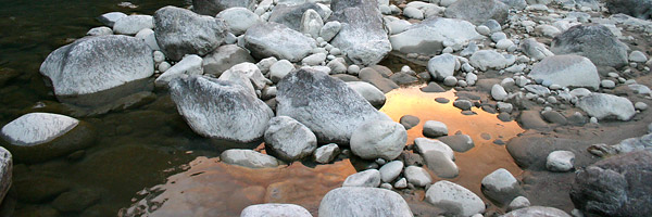 Sivananda Kutir 