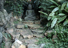 Sivananda School Of Yoga Johannesburg