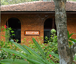 Sivananda Yoga, ayurveda Vedanta Dhanwantari Ashram India