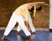 Sivananda Yoga Vedanta Nataraja Centre India