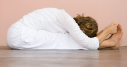 Sivananda Yoga Vedanta Nataraja Centre 
