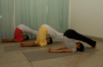 Sivananda Yoga Vedanta Nataraja Centre 