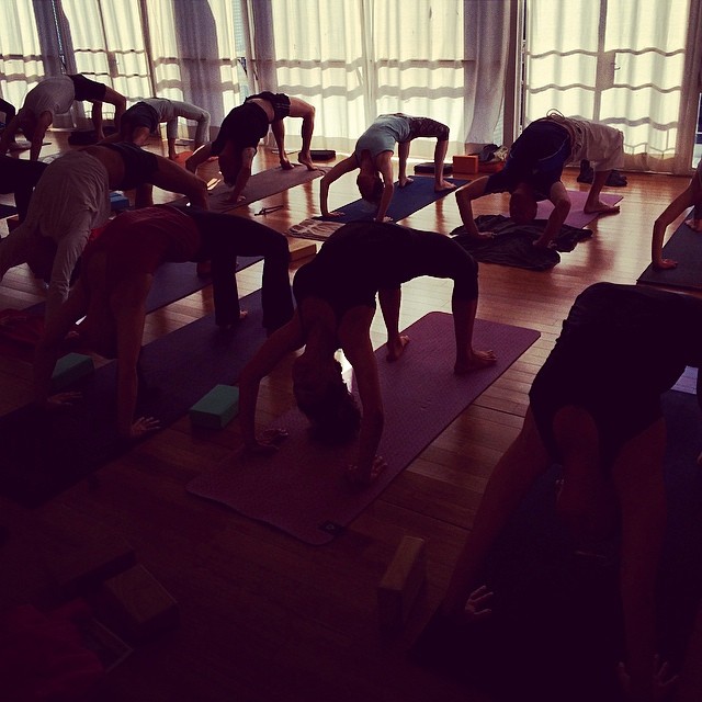 The Living Yoga Studio Johannesburg