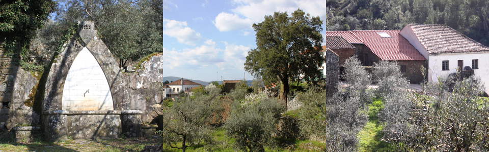  Castelo Branco