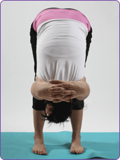 The Rose School Of Transformational Yoga And Meditation 
