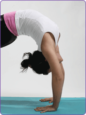 The Rose School Of Transformational Yoga And Meditation 