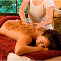 Vedica Ayurvedic Wellness Centre 