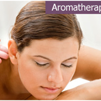 Vedica Ayurvedic Wellness Centre 