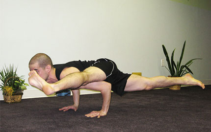 Yoga Dynamics