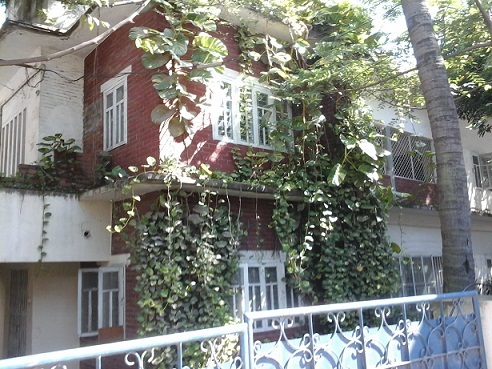 Yogamrita Yoga Institute