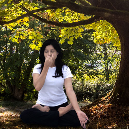 Yogamrita Yoga Institute