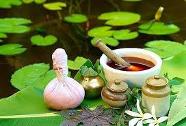 Aelis Ayurveda India
