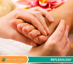Aelis Ayurveda Rishikesh