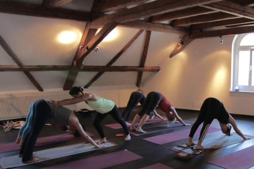 Ashtanga Yoga 