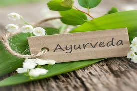 Dr. Jay's Ayurveda And Panchakarma Centre United States