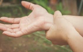 Evergreen Ayurveda Seattle United States