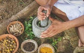 Evergreen Ayurveda Seattle 