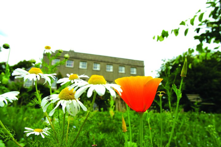 Gaia House Meditation Center Devon