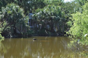  Palmetto