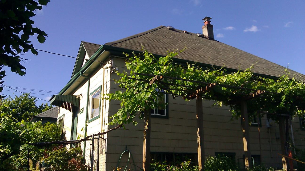 Mindfulness Community Of Puget Sound 