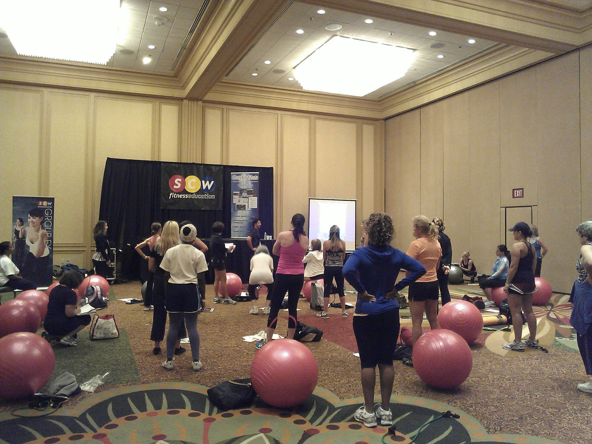 National Posture Institute 